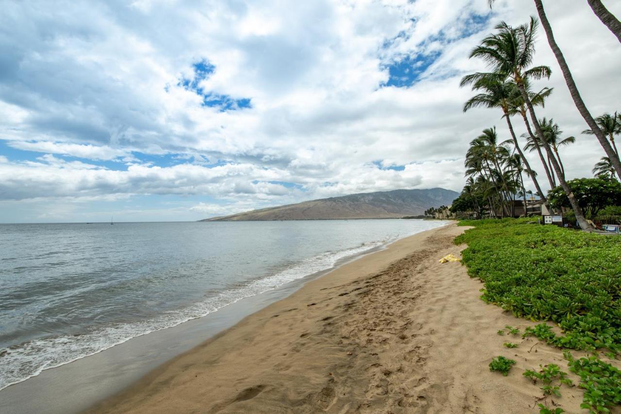 Kihei Beach 508 Dış mekan fotoğraf